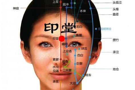 印堂是哪里|印堂图解：印堂是哪个部位,印堂的位置图